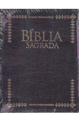 Biblia-sagrada---Letra-extragigante