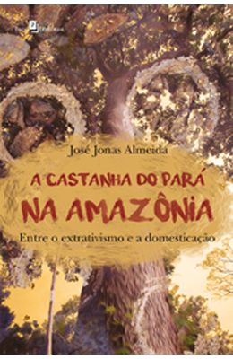 Castanha-do-Para-na-Amazonia-A