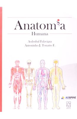 Anatomia-Humana