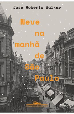 Neve-na-manha-de-Sao-Paulo