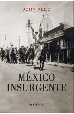 MEXICO-INSURGENTE