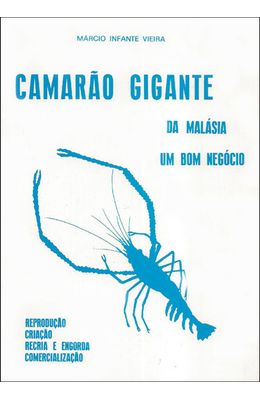 CAMARAO-GIGANTE