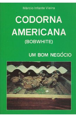 CODORNA-AMERICANA--BOBWHITE-