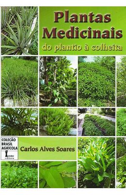 PLANTAS-MEDICINAIS-DO-PLANTIO-A-COLHEITA