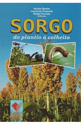 SORGO---DO-PLANTIO-A-COLHEITA