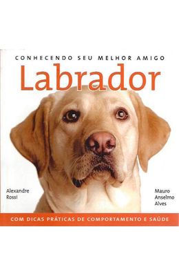 Labrador---Conhecendo-seu-melhor-amigo