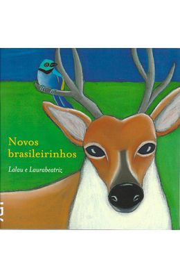 NOVOS-BRASILEIRINHOS
