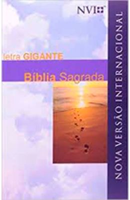 Biblia-Sagrada-Letra-Gigante---Nova-Versao-Internacional---Capa-Ceu-Praia