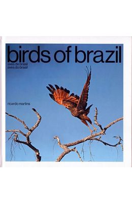 Birds-of-brazil---Aves-do-Brasil