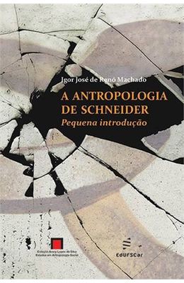 Antropologia-de-Schneider---pequena-introducao