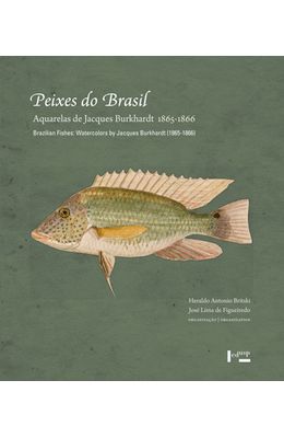 Peixes-do-Brasil-Brazilian-Fishes---Aquarelas-de-Jacques-Burkhardt--1865-1866--Watercolors-By-Jacques-Burkhardt--1865-1866-