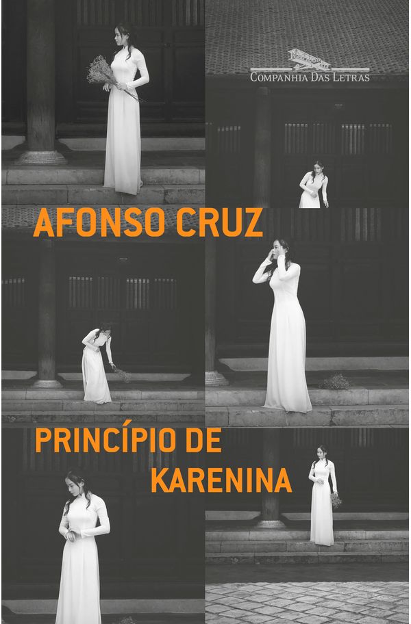 Edição brasileira do Silhouette Day Expert Meeting Dra. Danuza Alves