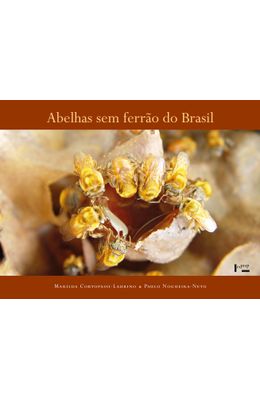 Abelhas-sem-Ferr�o-do-Brasil