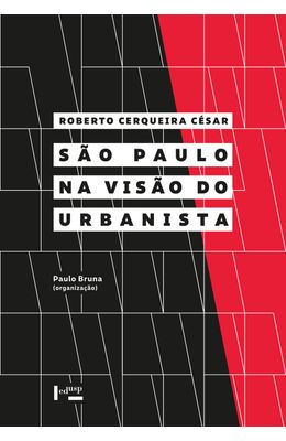 S�o-Paulo-na-vis�o-urbanista
