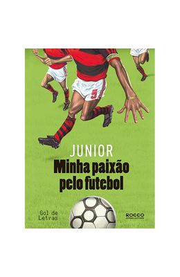 Minha-paixao-pelo-futebol