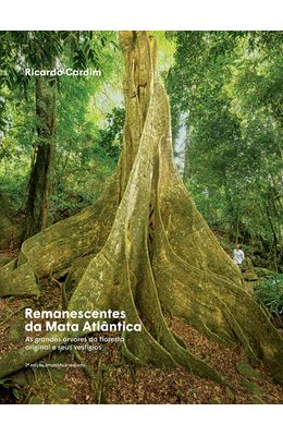 Remanescentes-da-Mata-Atlantica