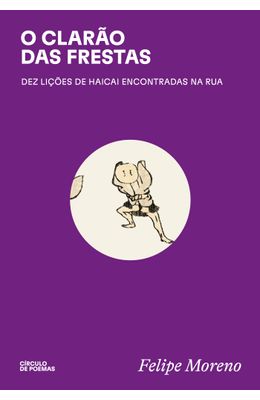 O-clarao-das-frestas--dez-licoes-de-haicai-encontradas-na-rua