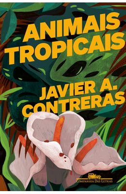 Animais-tropicais