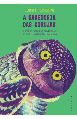 A-sabedoria-das-corujas